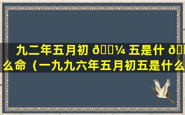 九二年五月初 🌼 五是什 💐 么命（一九九六年五月初五是什么星座）